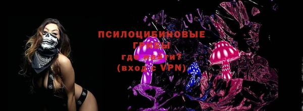 ПСИЛОЦИБИНОВЫЕ ГРИБЫ Лабытнанги