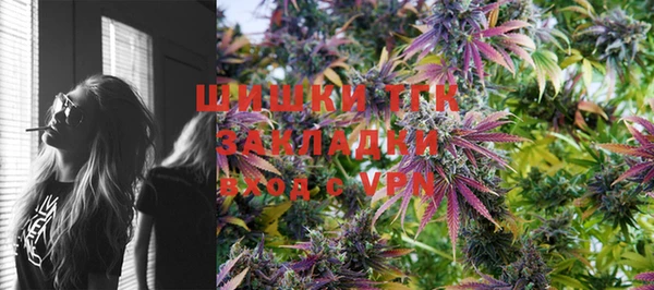 гидра Лагань
