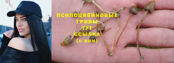 ПСИЛОЦИБИНОВЫЕ ГРИБЫ Лабытнанги