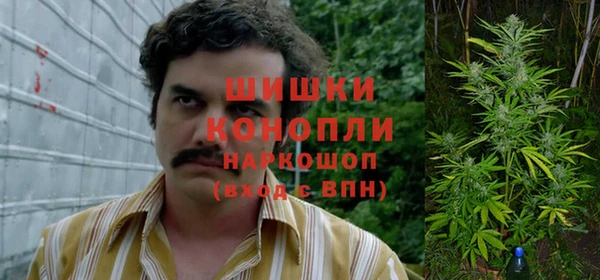 ПСИЛОЦИБИНОВЫЕ ГРИБЫ Лабытнанги