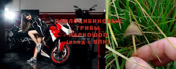 гидра Ладушкин