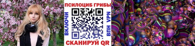 Псилоцибиновые грибы MAGIC MUSHROOMS  Купить  Болхов 
