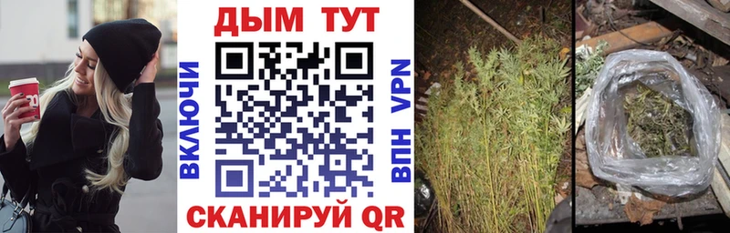 Бошки марихуана White Widow  Купить где  Болхов 